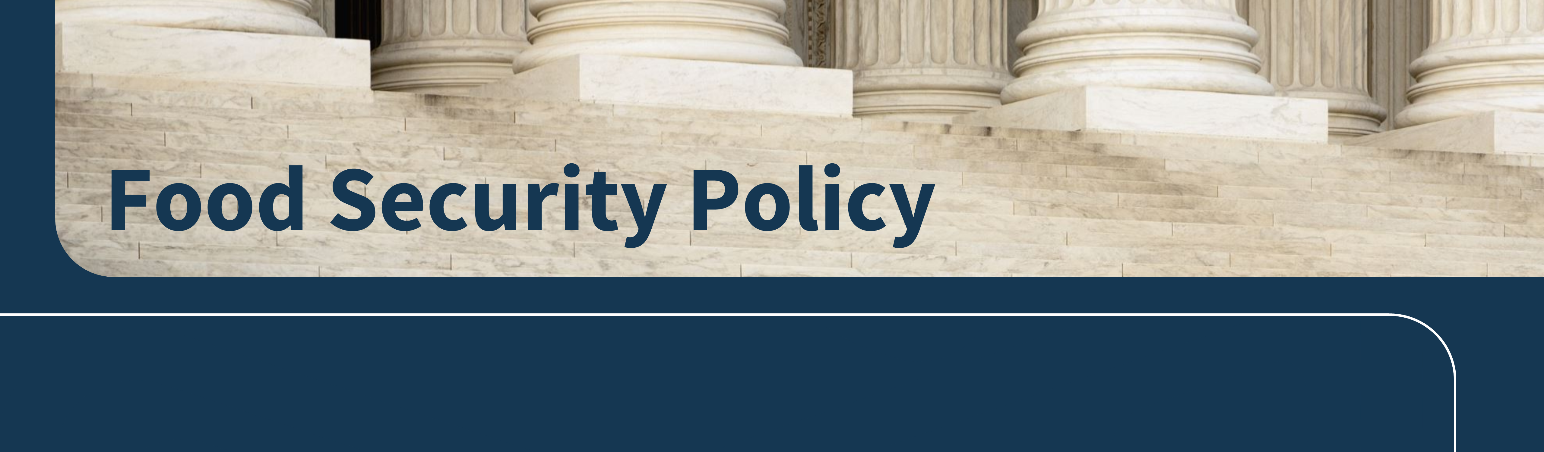 Food security Policy